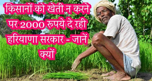किसानों को खेती न करने पर 2000 रुपये दे रही हरियाणा सरकार