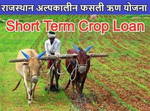 Rajasthan Short Term Crop Loan Yojana